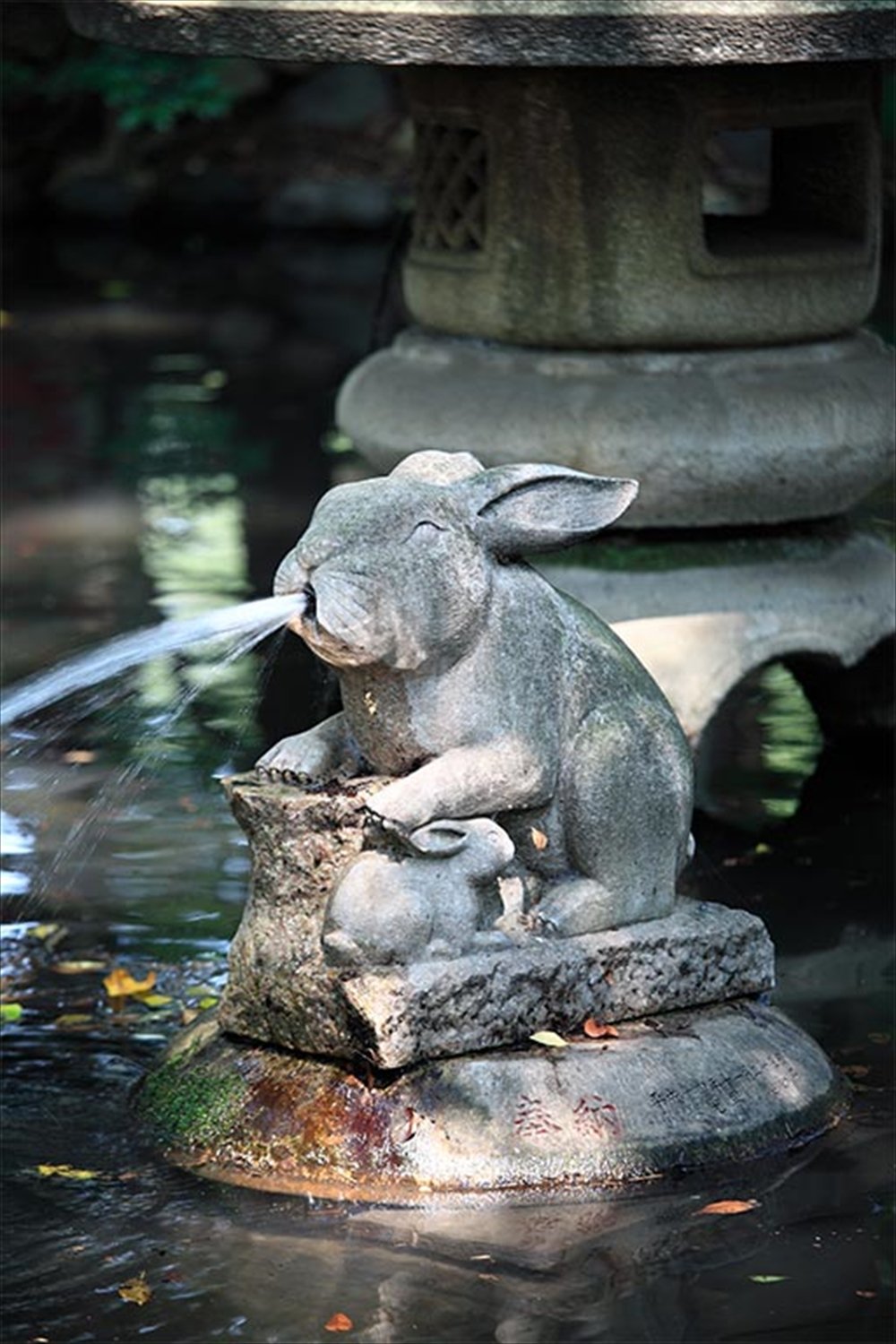 ⛩️ 쓰키 신사(쓰키진자) 이미지 7